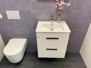 Pronájem bytu 2+kk, Roztoky, Braunerova, 50 m2
