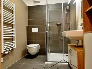 Pronájem bytu 1+kk, Olomouc, 17. listopadu, 35 m2