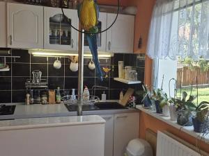 Pronájem bytu 3+1, Česká Lípa, Újezd, 75 m2