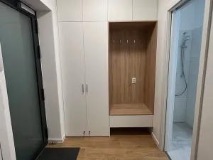 Pronájem bytu 1+kk, Brno, Francouzská, 27 m2