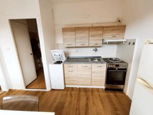 Pronájem bytu 1+1, Brno, Černého, 31 m2