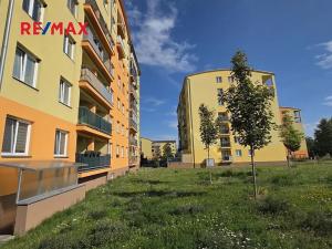 Pronájem bytu 1+kk, Klecany, V Honech, 30 m2