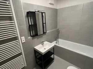 Pronájem bytu 1+kk, Liberec, Švermova, 40 m2