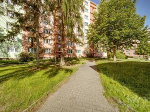 Prodej bytu 2+1, Plzeň, Luďka Pika, 62 m2