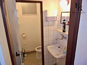 Prodej obchodního prostoru, Slatinice, 550 m2