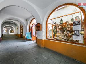 Pronájem obchodního prostoru, Domažlice - Dolejší Předměstí, Husova třída, 600 m2