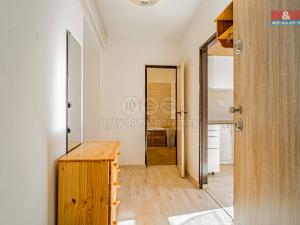 Prodej bytu 1+1, Český Těšín, Havlíčkova, 41 m2