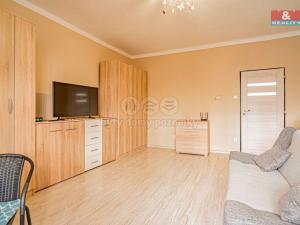 Prodej bytu 1+1, Český Těšín, Havlíčkova, 41 m2