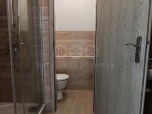 Pronájem bytu 1+1, Frýdek-Místek - Frýdek, Tolstého, 35 m2