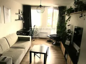 Pronájem bytu 2+1, Brno, Purkyňova, 58 m2
