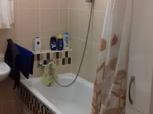 Pronájem bytu 2+kk, Brno, Křehlíkova, 54 m2