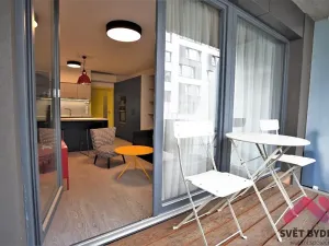 Pronájem bytu 1+kk, Praha - Karlín, Sokolovská, 31 m2