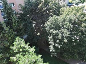Prodej bytu 2+kk, Brno, Žitná, 35 m2