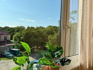 Prodej bytu 2+kk, Praha - Kobylisy, Havlínova, 40 m2