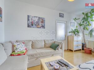 Pronájem bytu 1+1, Plzeň - Severní Předměstí, Elišky Krásnohorské, 36 m2