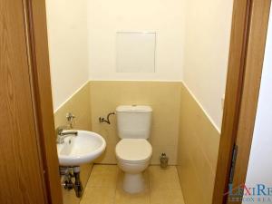 Pronájem bytu 2+kk, Praha - Sedlec, Kamýcká, 55 m2