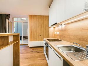 Pronájem bytu 3+kk, Brno, Stavební, 57 m2
