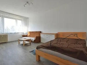 Pronájem bytu 1+1, Přerov, Sokolská, 40 m2