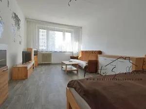 Pronájem bytu 1+1, Přerov, Sokolská, 40 m2