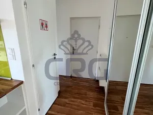Pronájem bytu 3+kk, Brno, Jugoslávská, 73 m2