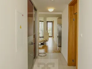 Pronájem bytu 2+kk, Praha - Žižkov, Pitterova, 65 m2