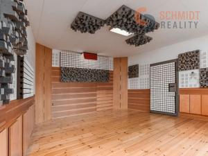 Prodej rodinného domu, Mikulov, 1. května, 310 m2