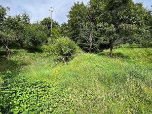 Prodej chaty, Roubanina, 80 m2
