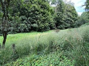 Prodej chaty, Roubanina, 80 m2