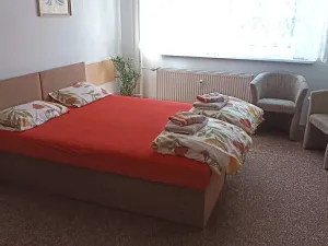 Pronájem bytu 1+kk, Zlín, Svat. Čecha, 30 m2
