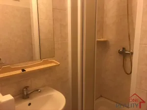 Pronájem bytu 1+kk, Zlín, Padělky II, 20 m2