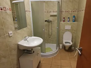 Pronájem bytu 1+kk, Liberec, Pivovarská, 42 m2