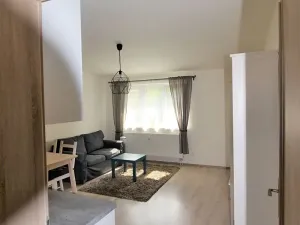 Pronájem bytu 2+kk, Brno, Čejkova, 49 m2
