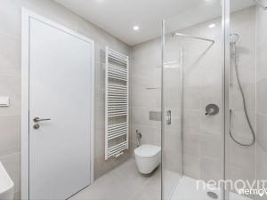 Pronájem bytu 1+kk, Praha - Nusle, Muzikova, 32 m2