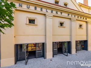 Pronájem bytu 1+kk, Praha - Nusle, Muzikova, 32 m2