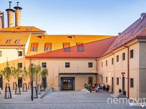 Pronájem bytu 1+kk, Praha - Nusle, Muzikova, 32 m2