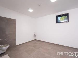 Pronájem bytu 1+kk, Praha - Nusle, Muzikova, 32 m2