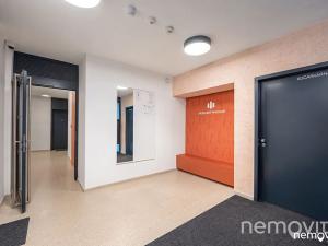 Pronájem bytu 1+kk, Praha - Nusle, Muzikova, 32 m2