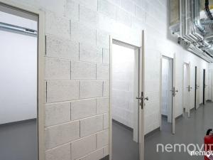 Pronájem bytu 1+kk, Praha - Nusle, Muzikova, 32 m2