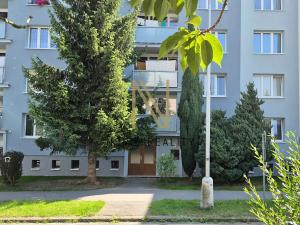 Pronájem bytu 1+1, Domažlice, Švabinského, 42 m2
