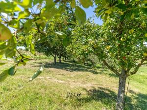 Prodej rodinného domu, Hovorany, 180 m2