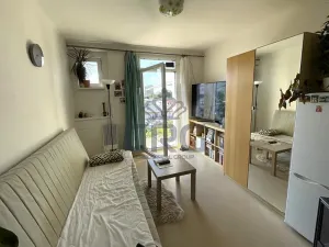 Pronájem bytu 1+kk, Brno, Mlýnská, 23 m2