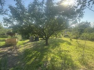 Prodej zahrady, Otrokovice, 209 m2