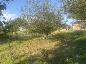 Prodej zahrady, Otrokovice, 209 m2