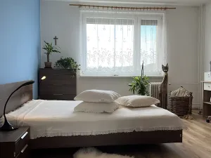 Prodej bytu 3+1, Chrudim, Na Ostrově, 83 m2