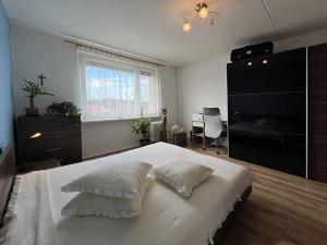 Prodej bytu 3+1, Chrudim, Na Ostrově, 83 m2