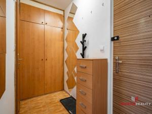 Pronájem bytu 1+1, Hradec Králové - Moravské Předměstí, Štefánikova, 35 m2