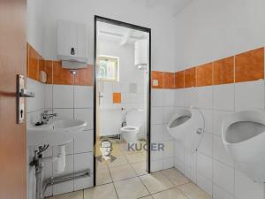 Prodej ubytování, Velká Chmelištná, 550 m2