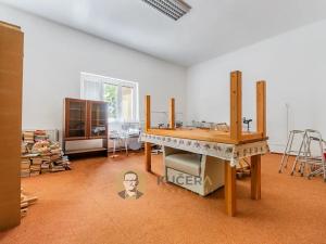 Prodej výrobních prostor, Velká Chmelištná, 550 m2