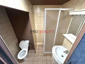 Pronájem bytu 1+1, Ostrava, Nádražní, 30 m2