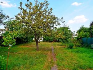 Pronájem rodinného domu, Praha - Dolní Měcholupy, V planinách, 185 m2